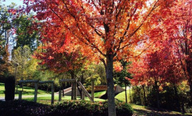 american-hebrew-academy-kampus