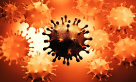 Готов ли мир снять ограничения?1615575787