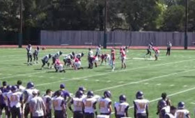 sportivnye-dostizheniia