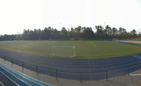 bbis-sportivnye-polia