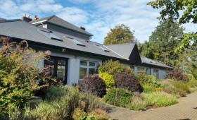 srednie-schkoly-irlandii